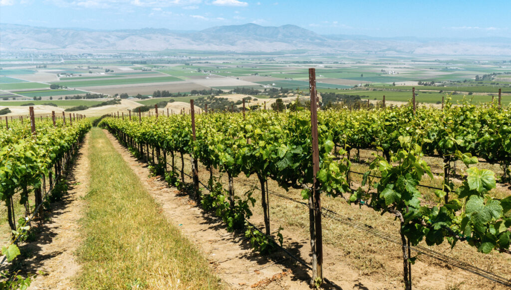 Monterey County Community Climate Action and Adaptation Plan Ascent