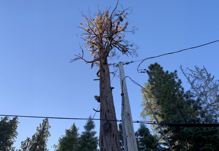 Liberty Utilities OnCall Support Ascent