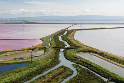 The Greenhouse Gas Reduction Plan (GHGRP) for the Santa Clara Valley Water District (Valley Water) outlines a comprehensive strategy to reduce Valley Water’s GHG emissions and show consistency with the state’s climate goal of achieving carbon neutrality by 2045. The GHGRP aims to reduce GHG emissions through various measures, including a transition to zero-emission fleets, water conservation, electrification of facilities, a requirement for zero-emission fuels in construction contracts, and other sustainability measures.
