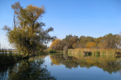 The Sacramento Area Sewer District (SacSewer) is a sewage collection, treatment, and resource recovery utility providing service to more than 1.6 million people in a 386-square-mile service area in the Sacramento region. Its service area includes the unincorporated areas of Sacramento County and the cities of Citrus Heights, Rancho Cordova, Elk Grove, Folsom, Sacramento, and West Sacramento.